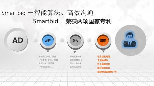 互聯(lián)網(wǎng) 智慧營銷大數(shù)據(jù)平臺(tái)建設(shè)方案.ppt